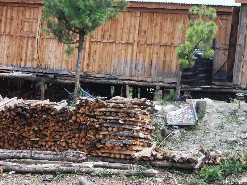 Pisang – zdjęcie 38