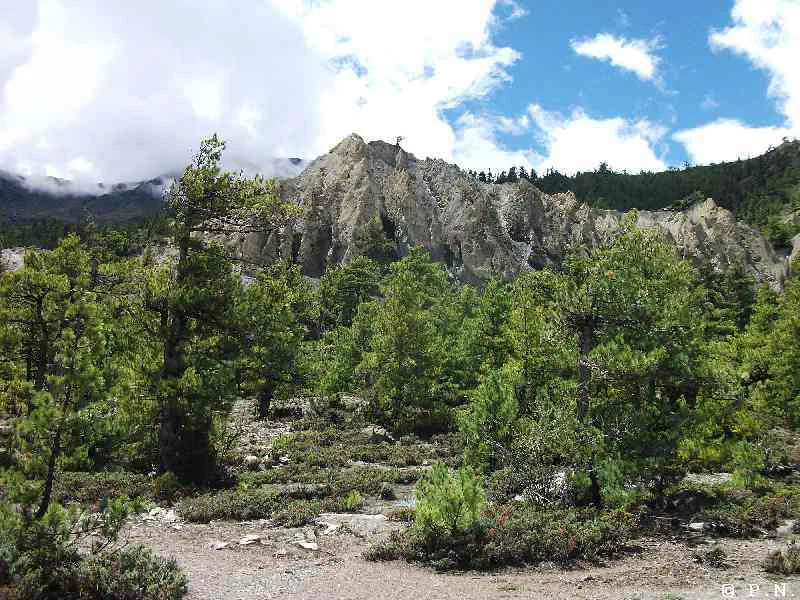 Humde – zdjęcie 130