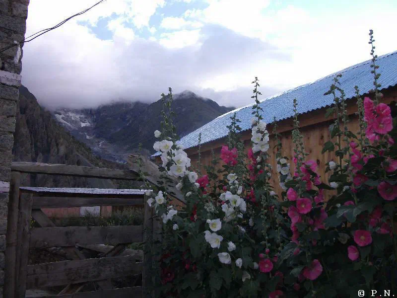 Manang – zdjęcie 57