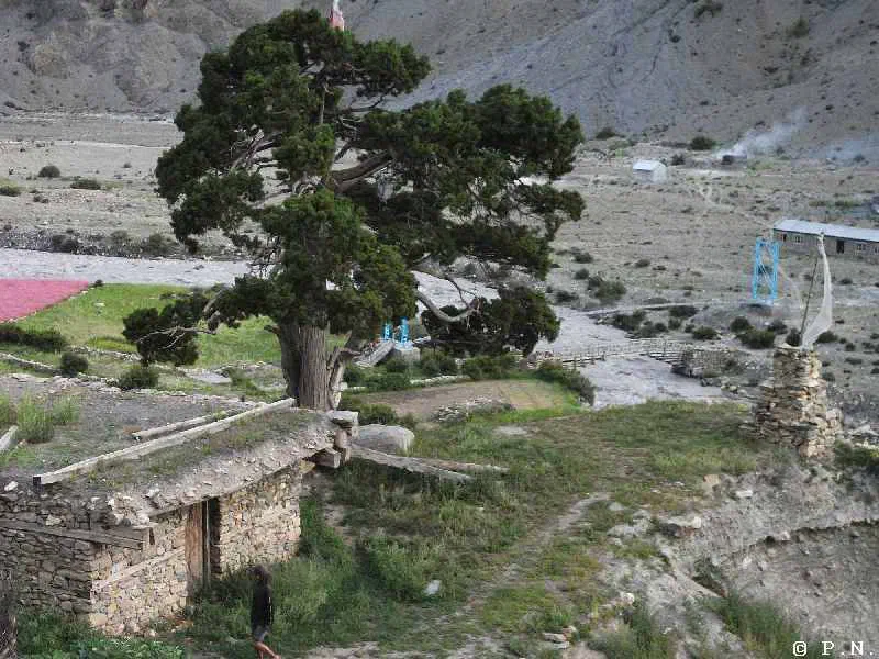 Manang – zdjęcie 95