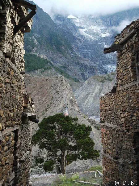 Manang – zdjęcie 99