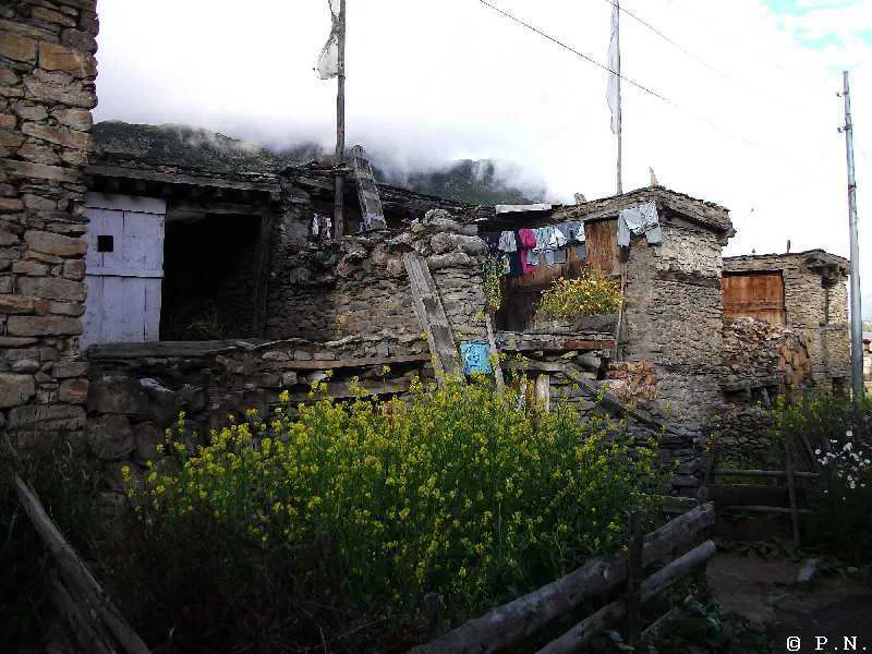 Manang – zdjęcie 101