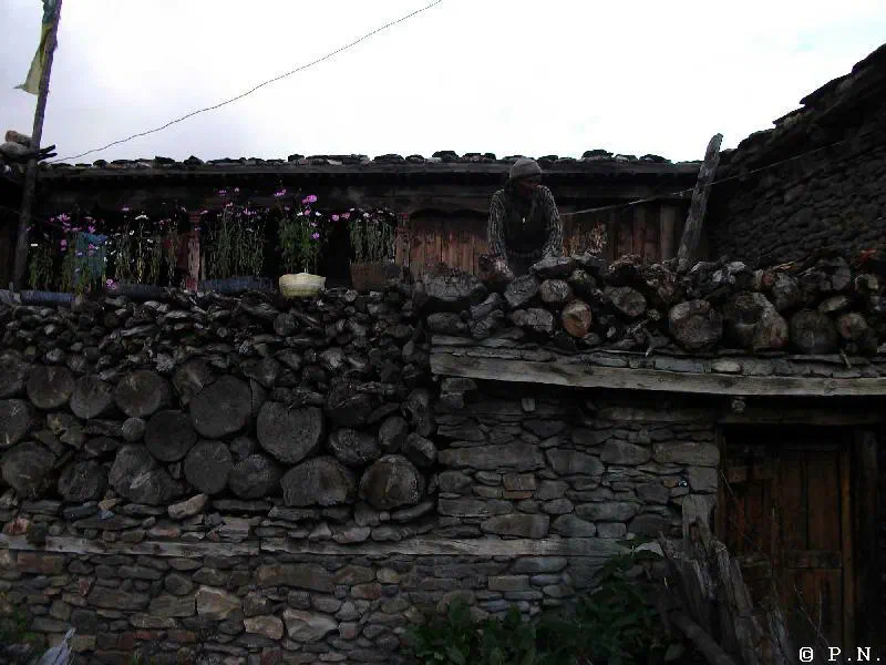 Manang – zdjęcie 110