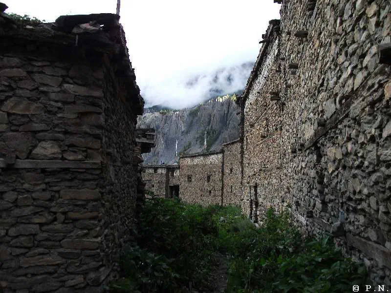 Manang – zdjęcie 113