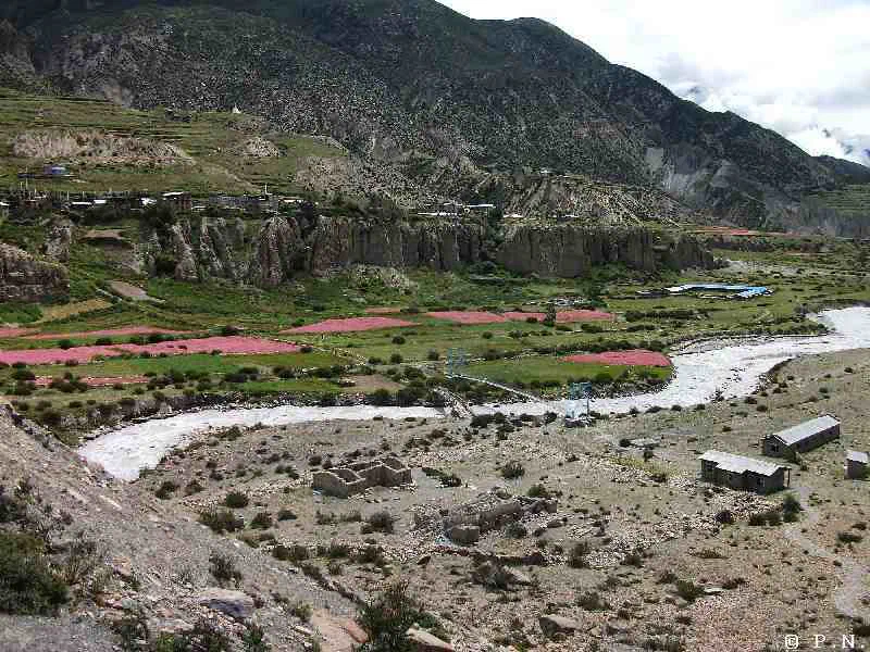 Manang – zdjęcie 148