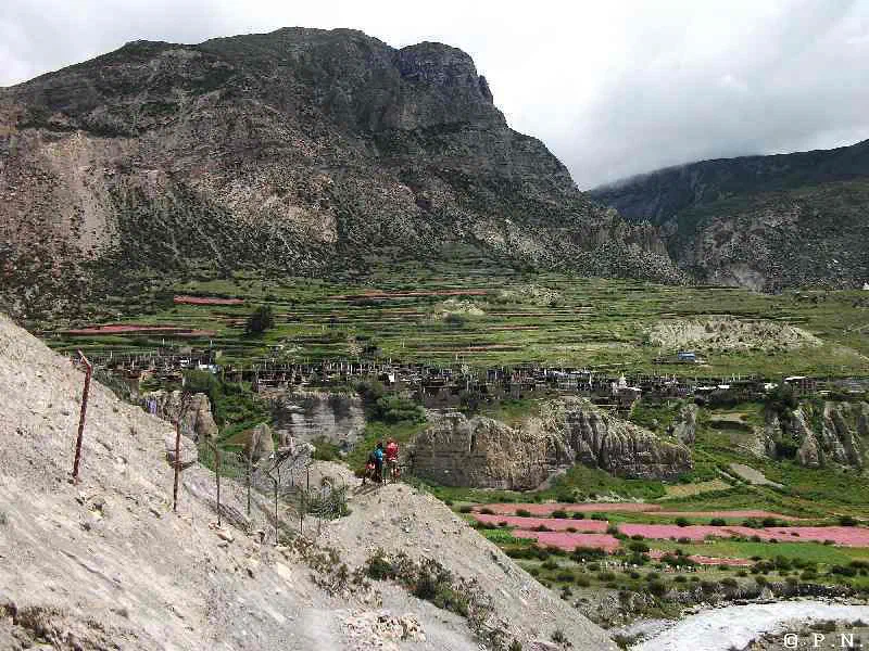 Manang – zdjęcie 152