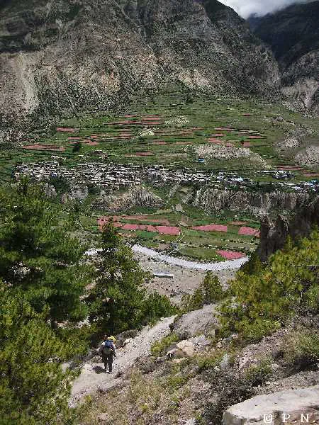 Manang – zdjęcie 164