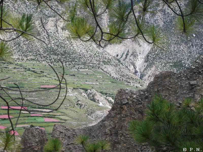 Manang – zdjęcie 168