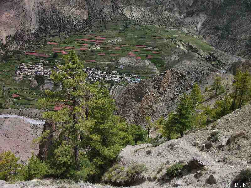 Manang – zdjęcie 177