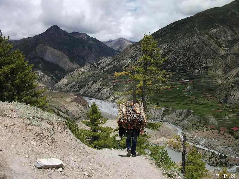 Manang – zdjęcie 178