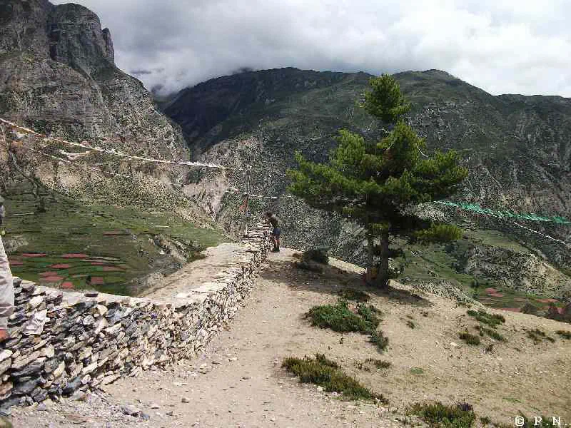 Manang – zdjęcie 185