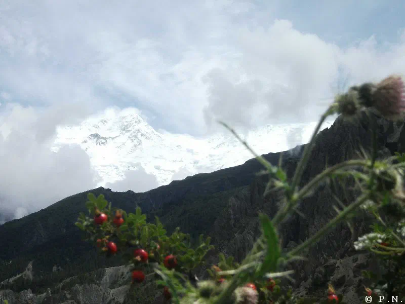 Manang – zdjęcie 203