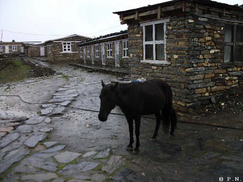 Thorong La – zdjęcie 3