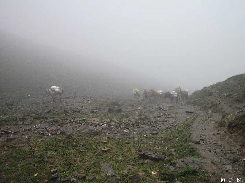 Thorong La – zdjęcie 89