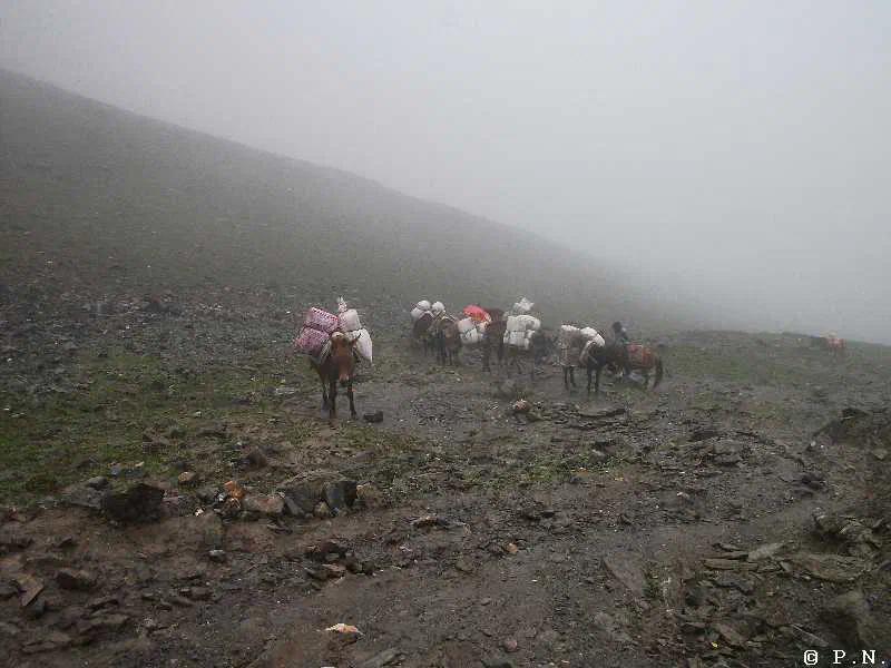 Thorong La – zdjęcie 95