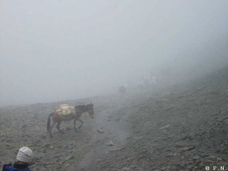Thorong La – zdjęcie 100