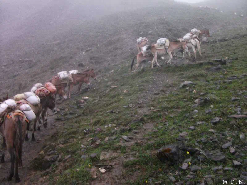Thorong La – zdjęcie 111