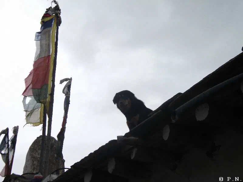 Kagbeni – zdjęcie 43