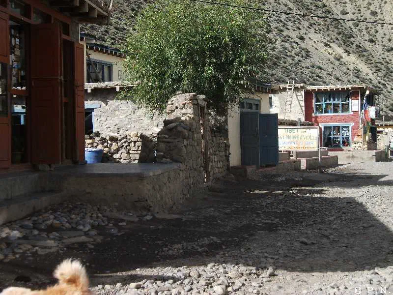 Kaligandaki – zdjęcie 9