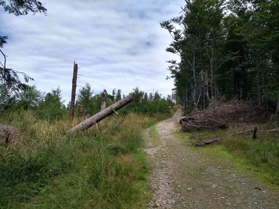 W drodze na Leskowiec – zdjęcie 4
