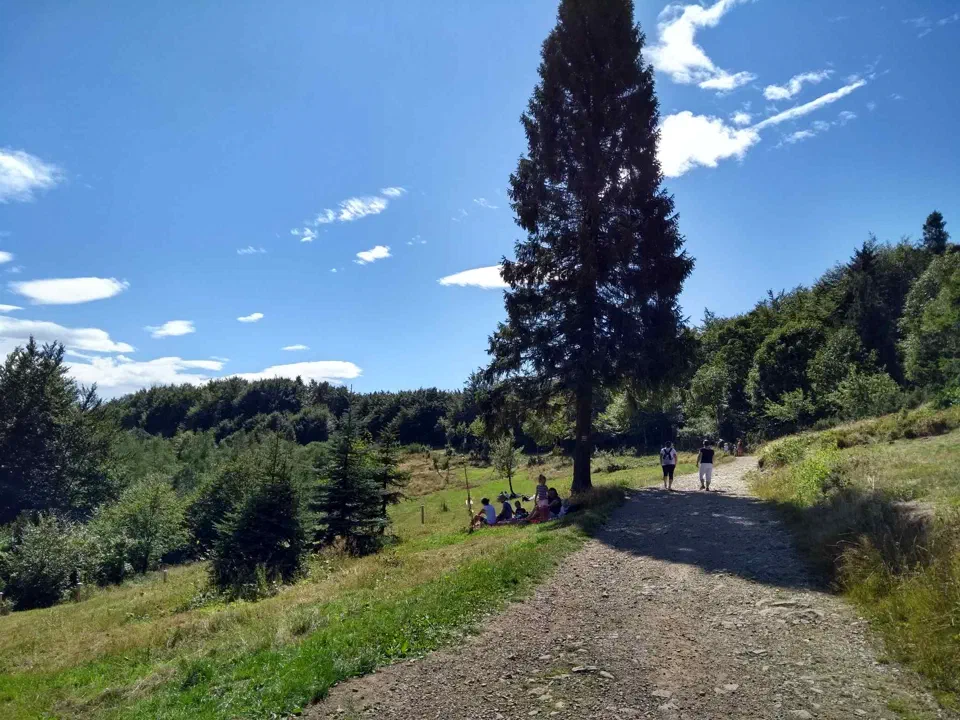 W drodze na Leskowiec – zdjęcie 24