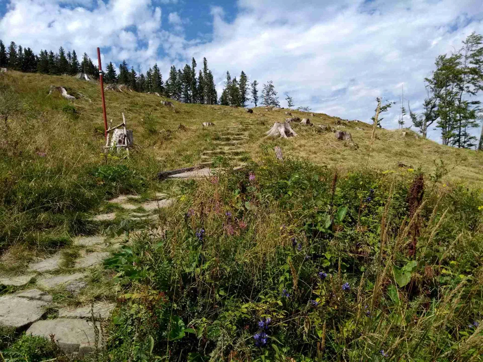 Babia Góra przez Perć – zdjęcie 15