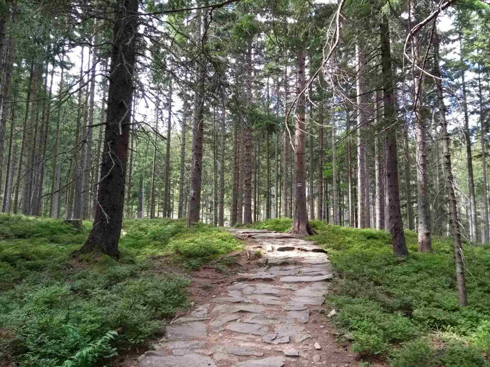 Babia Góra przez Perć – zdjęcie 31