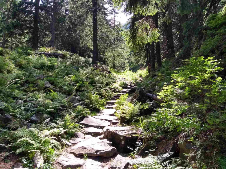 Babia Góra przez Perć – zdjęcie 39