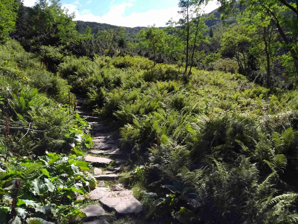 Babia Góra przez Perć – zdjęcie 42