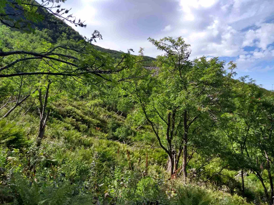 Babia Góra przez Perć – zdjęcie 47