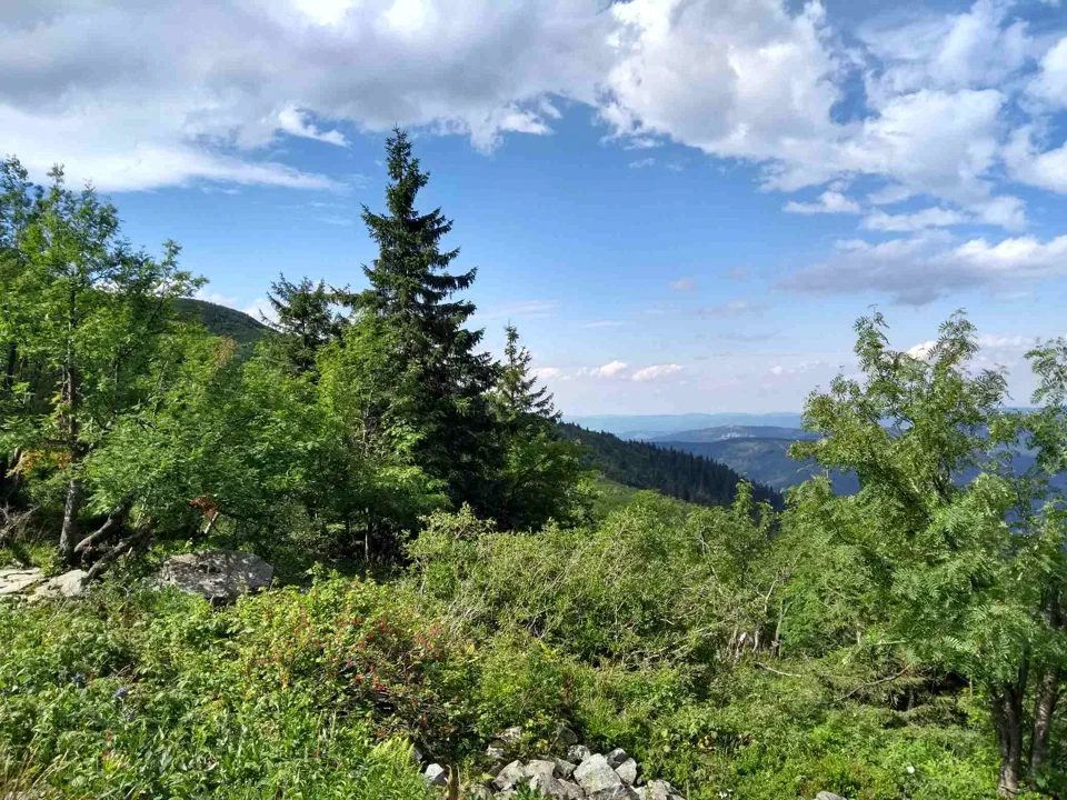 Babia Góra przez Perć – zdjęcie 55