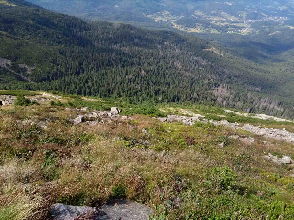 Babia Góra przez Perć – zdjęcie 110