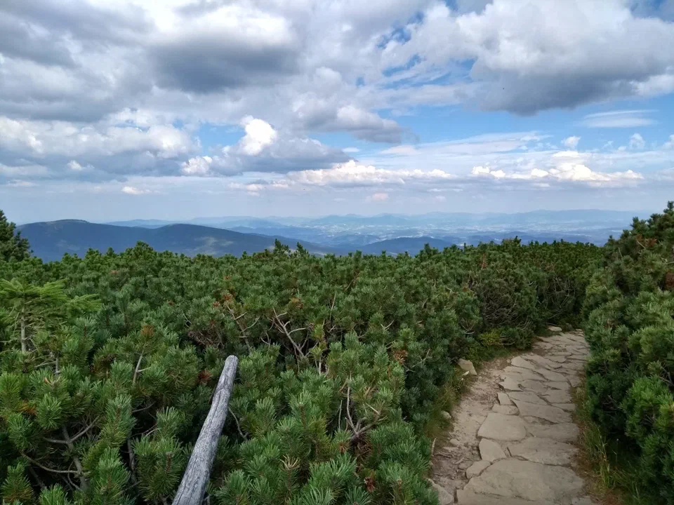 Babia Góra przez Perć – zdjęcie 155