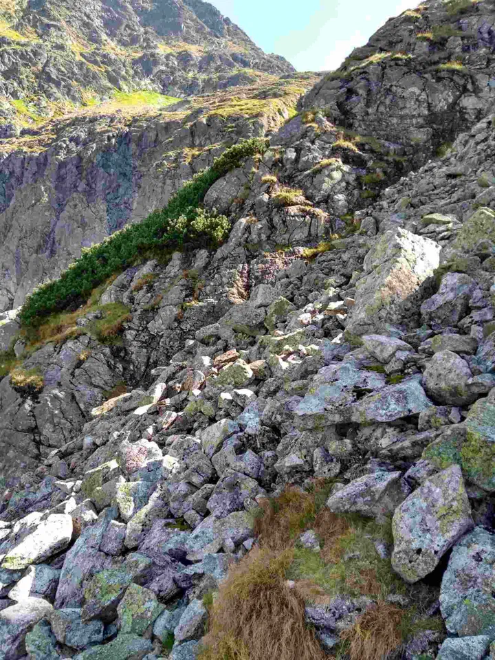 Tatry – pod Zawrat – 2019.09.11 – zdjęcie 66