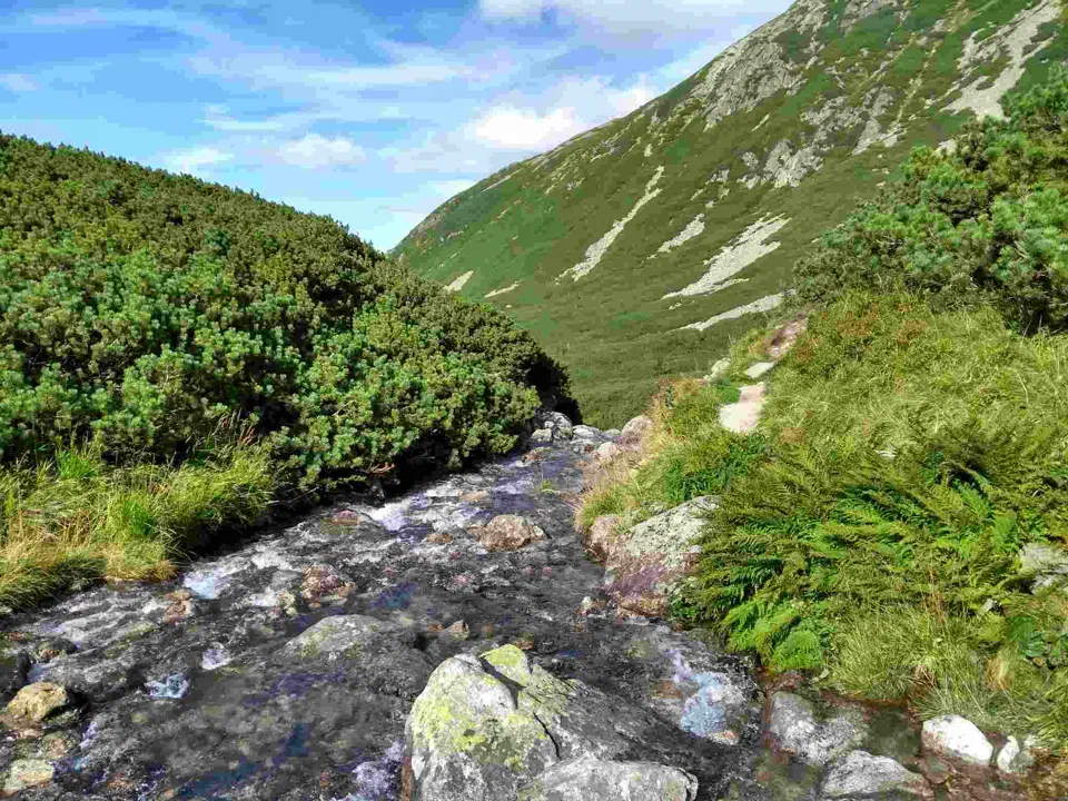 Tatry – pod Zawrat – 2019.09.11 – zdjęcie 151