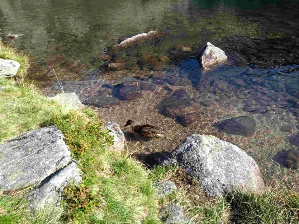 Tatry – pod Zawrat – 2019.09.11 – zdjęcie 154