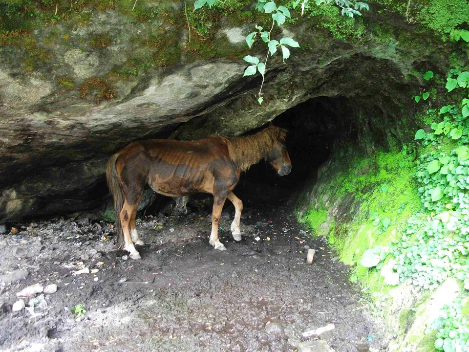 Himalaje 2010 cz.2 – zdjęcie 5