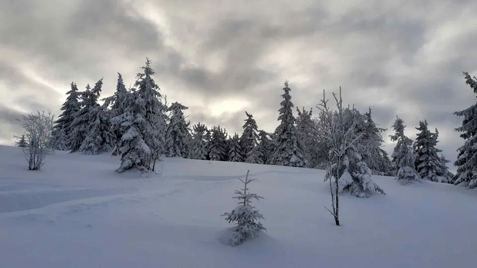 Turbacz 30.12.2019r – zdjęcie 2