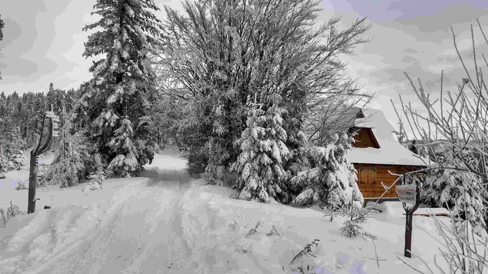 Turbacz 30.12.2019r – zdjęcie 5