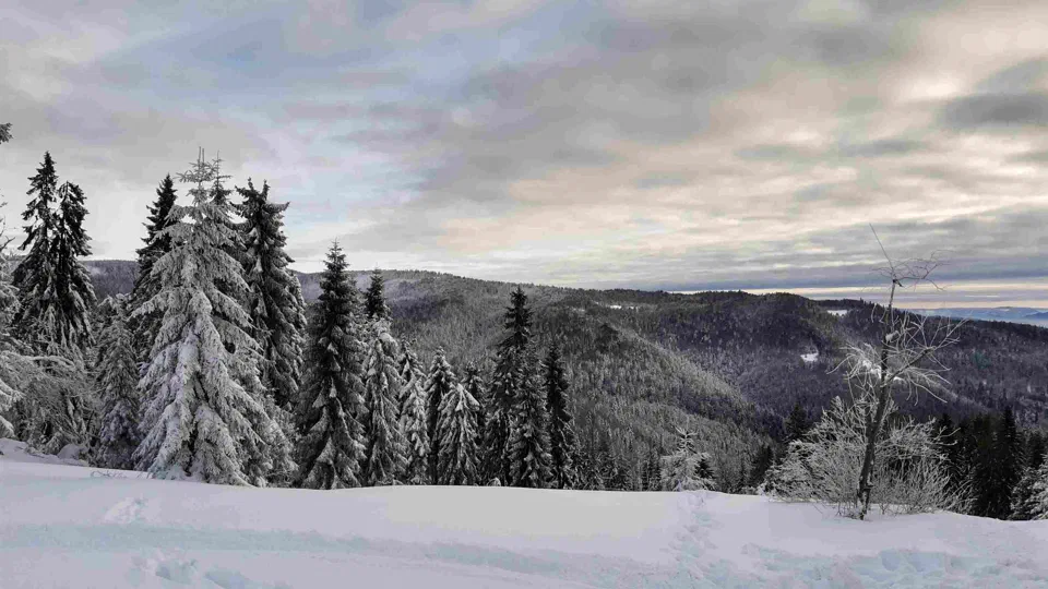 Turbacz 30.12.2019r – zdjęcie 6