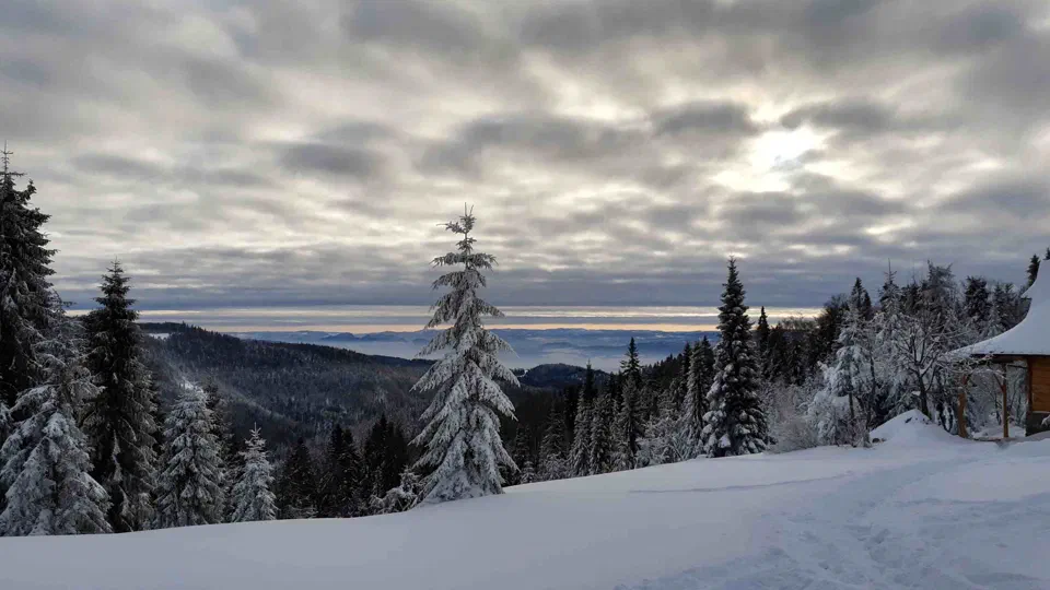 Turbacz 30.12.2019r – zdjęcie 7