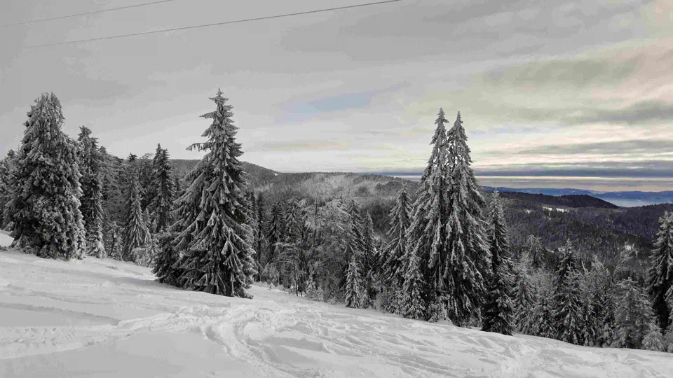 Turbacz 30.12.2019r – zdjęcie 8