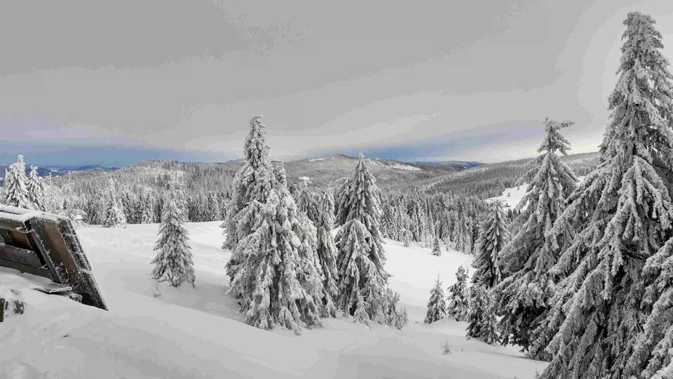Turbacz 30.12.2019r – zdjęcie 28