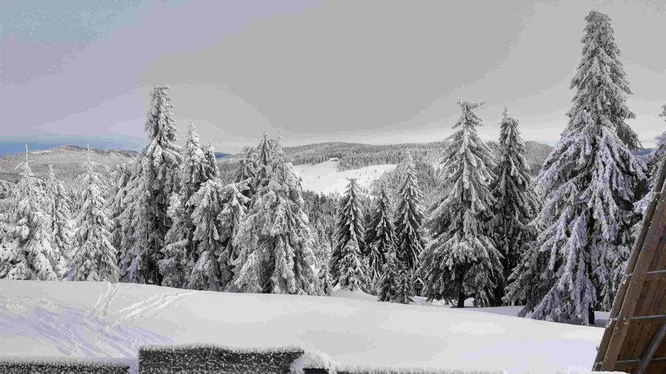 Turbacz 30.12.2019r – zdjęcie 40