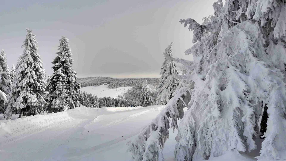 Turbacz 30.12.2019r – zdjęcie 46