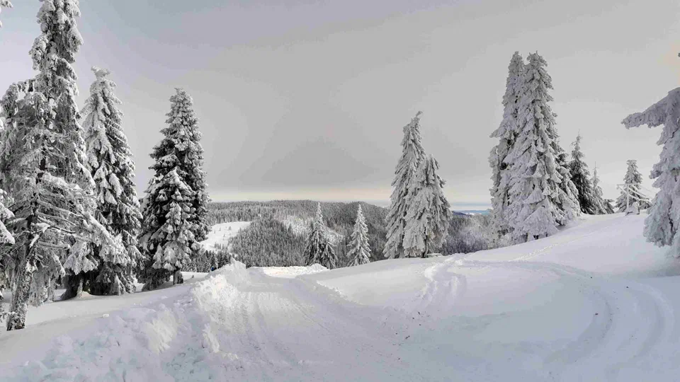 Turbacz 30.12.2019r – zdjęcie 48