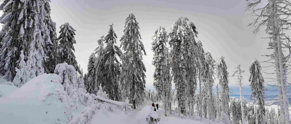 Turbacz 30.12.2019r – zdjęcie 60
