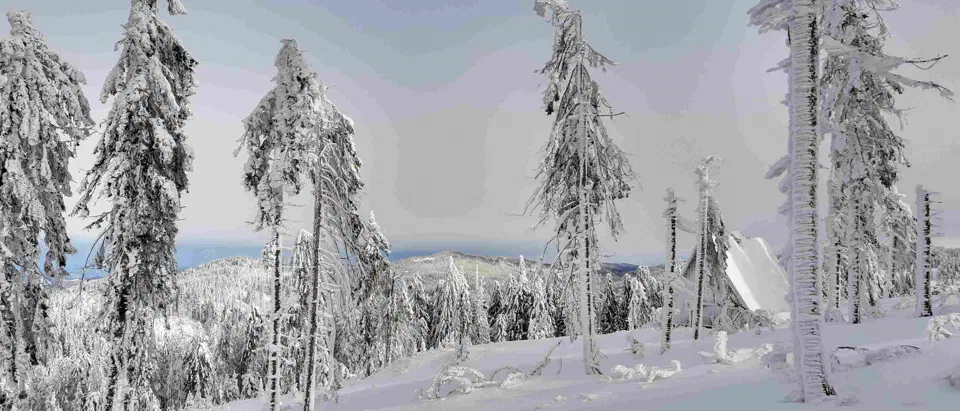 Turbacz 30.12.2019r – zdjęcie 62