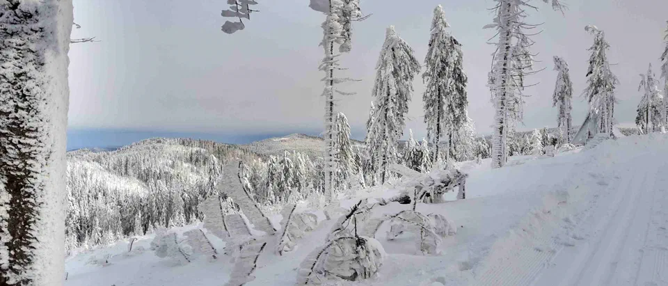 Turbacz 30.12.2019r – zdjęcie 65
