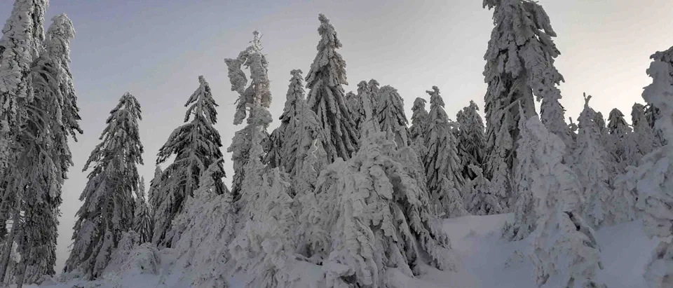 Turbacz 30.12.2019r – zdjęcie 69